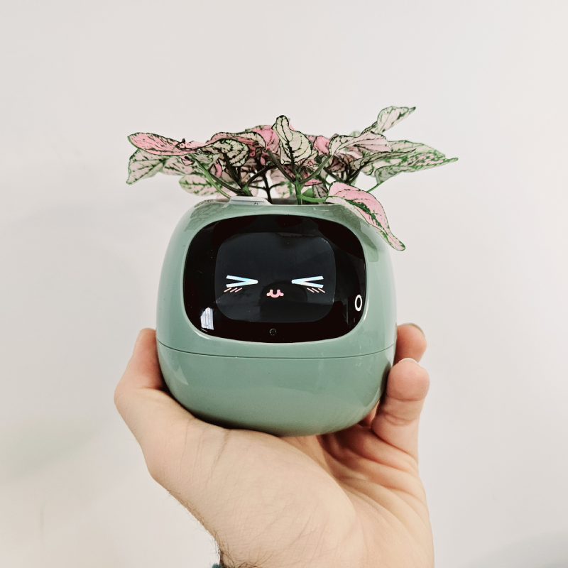 Ivy connected pot